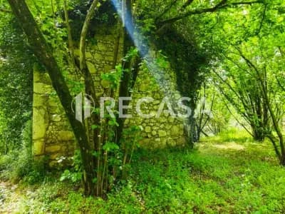 Terreno agricolo