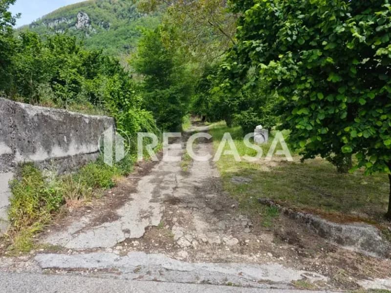 Terreno agricolo