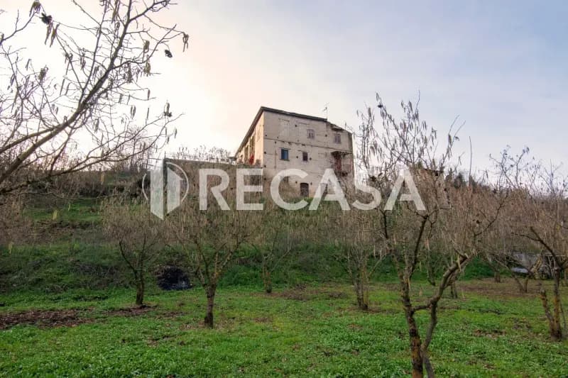 Foto 16 - Fabbricato Plurifamiliare con Terreno