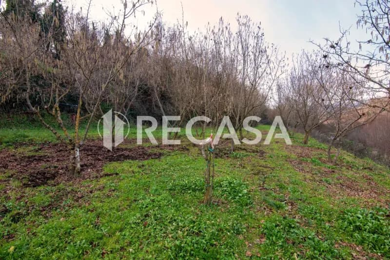 Foto 12 - Fabbricato Plurifamiliare con Terreno