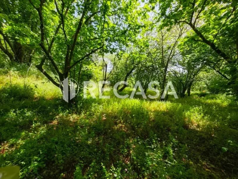 Terreno agricolo