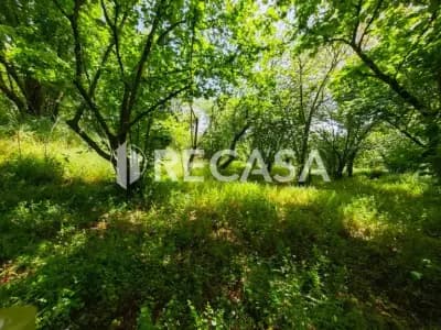 Terreno agricolo