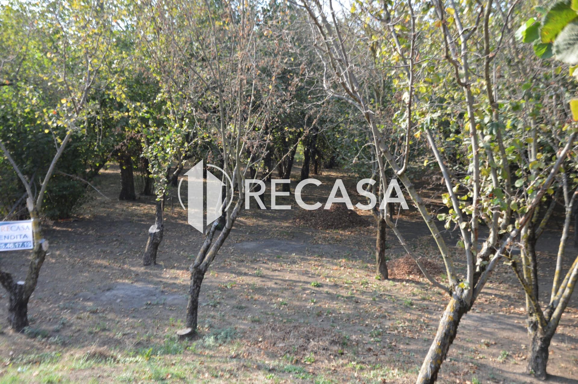 Terreno agricolo Santa Lucia di Serino - Foto 7