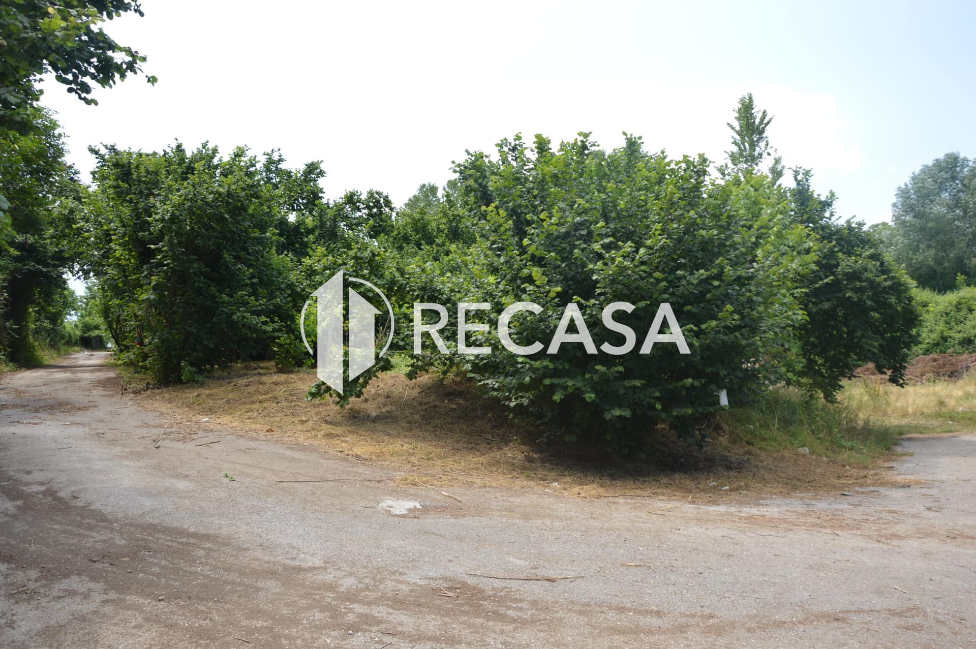 Vendesi noccioleto pianeggiante ad Atripalda - Foto 1