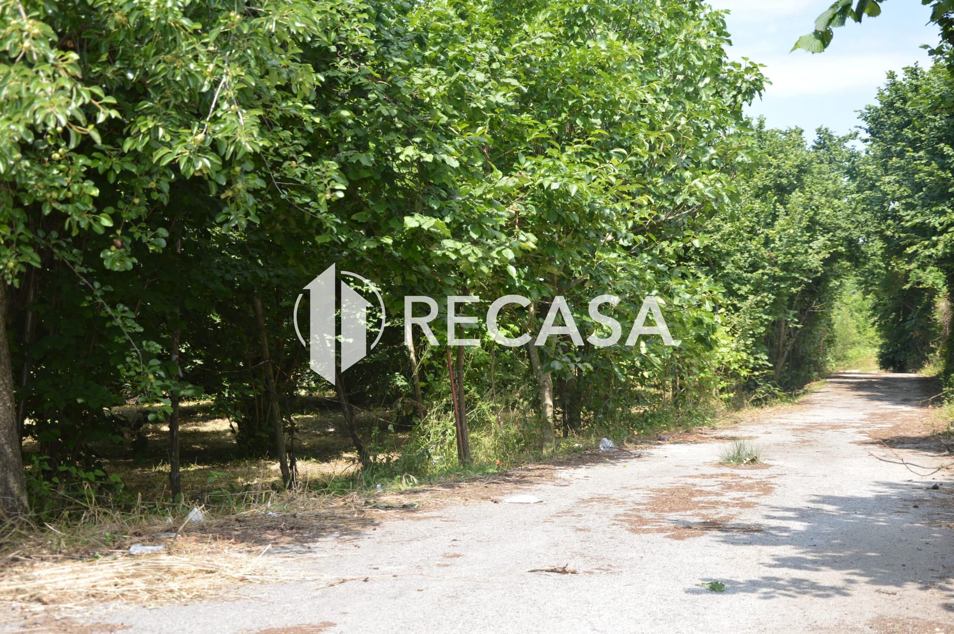 Vendesi noccioleto pianeggiante ad Atripalda - Foto 7