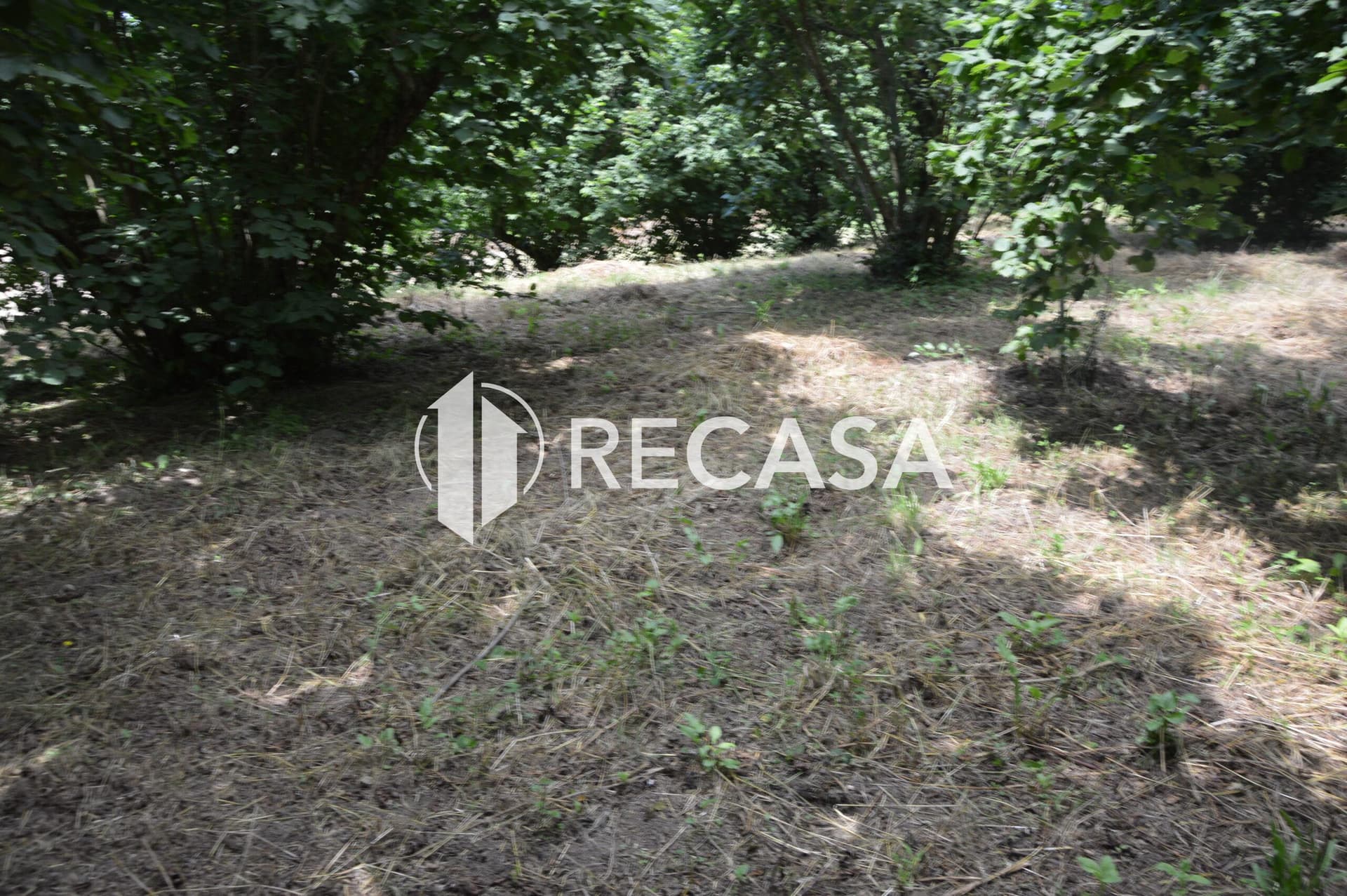 Vendesi noccioleto pianeggiante ad Atripalda - Foto 15