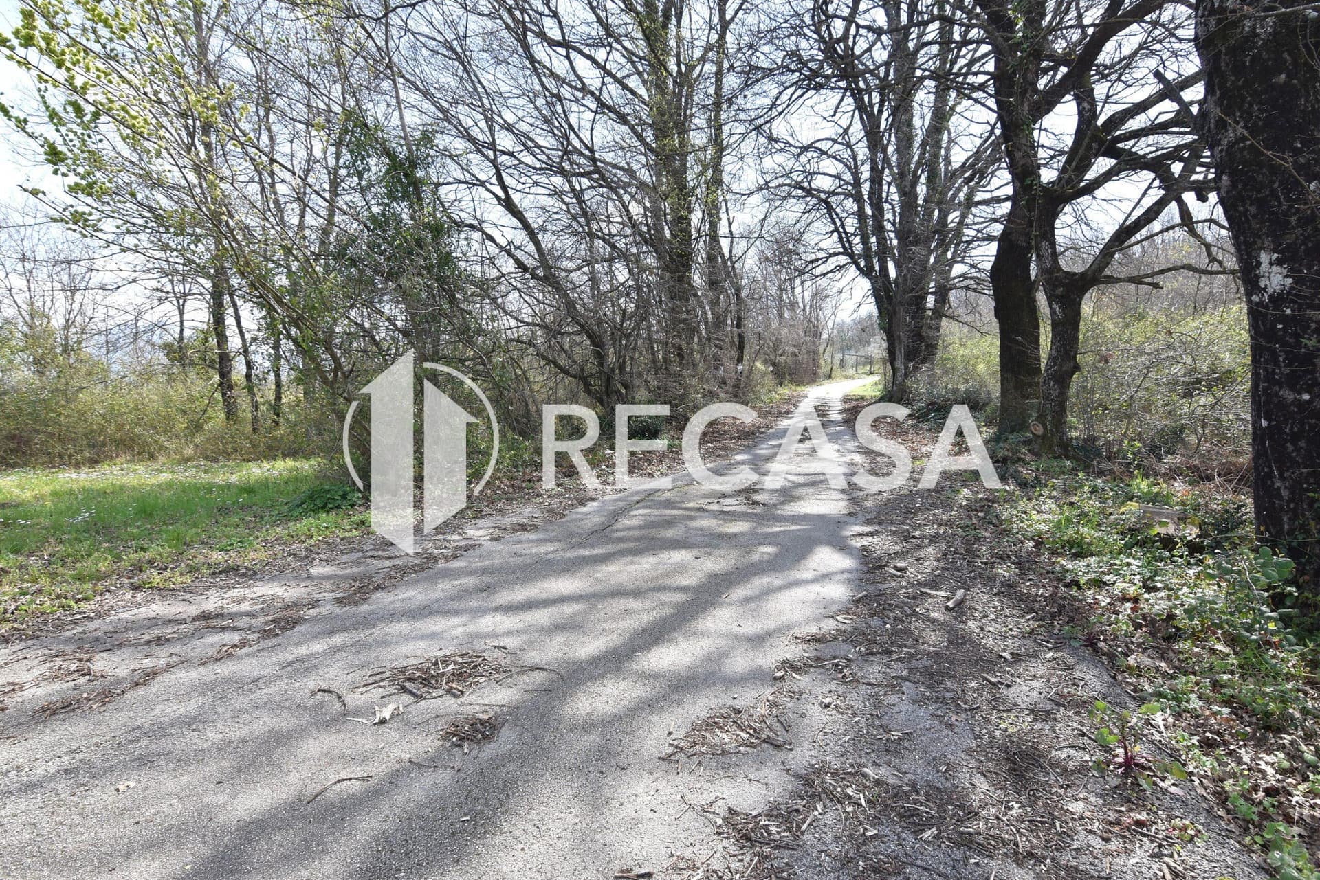 Vendita lotto agricolo San Barbato Manocalzati - Foto 4