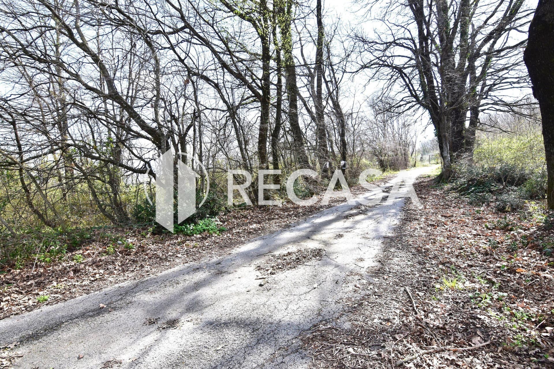 Vendita lotto agricolo San Barbato Manocalzati - Foto 5