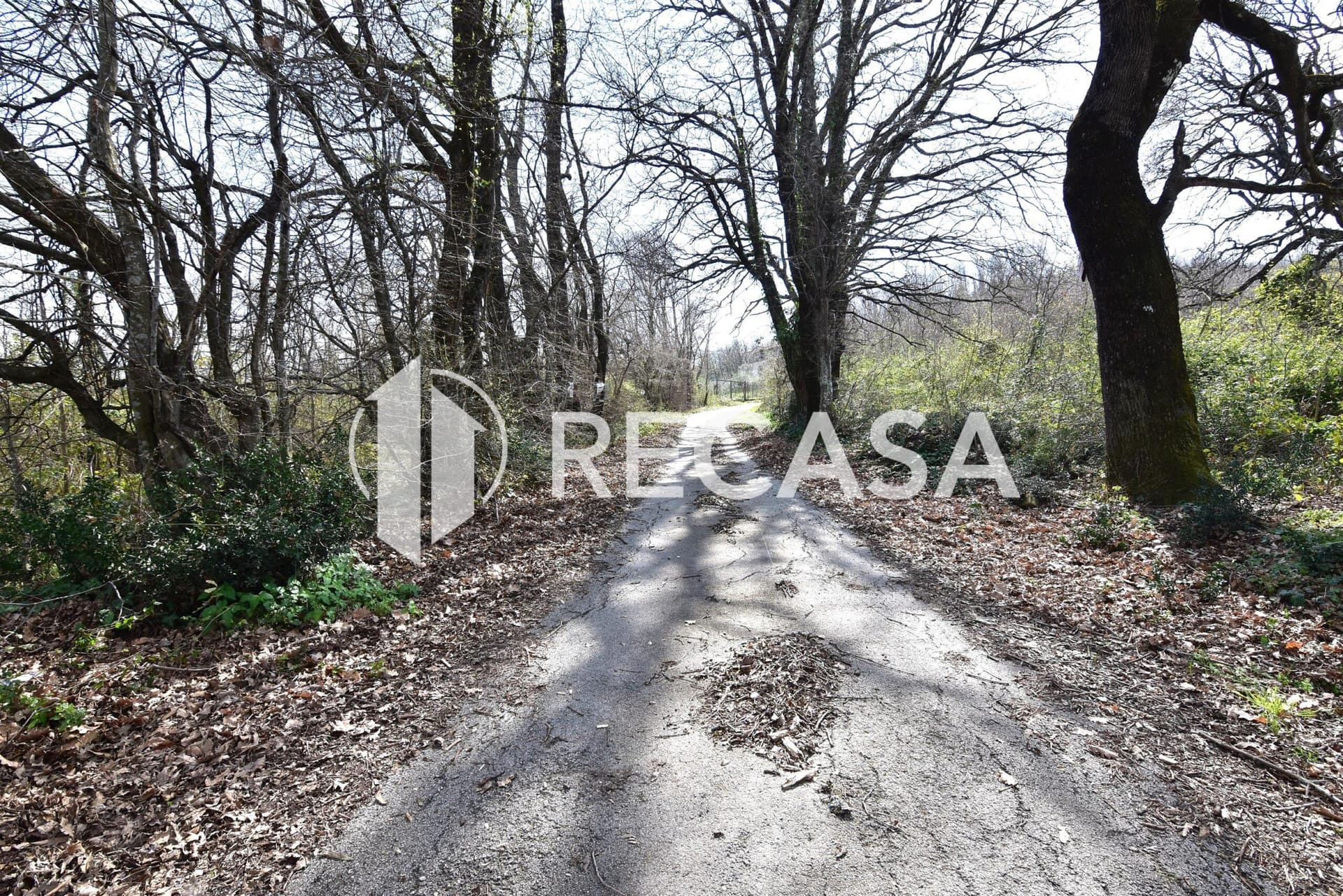 Vendita lotto agricolo San Barbato Manocalzati - Foto 6