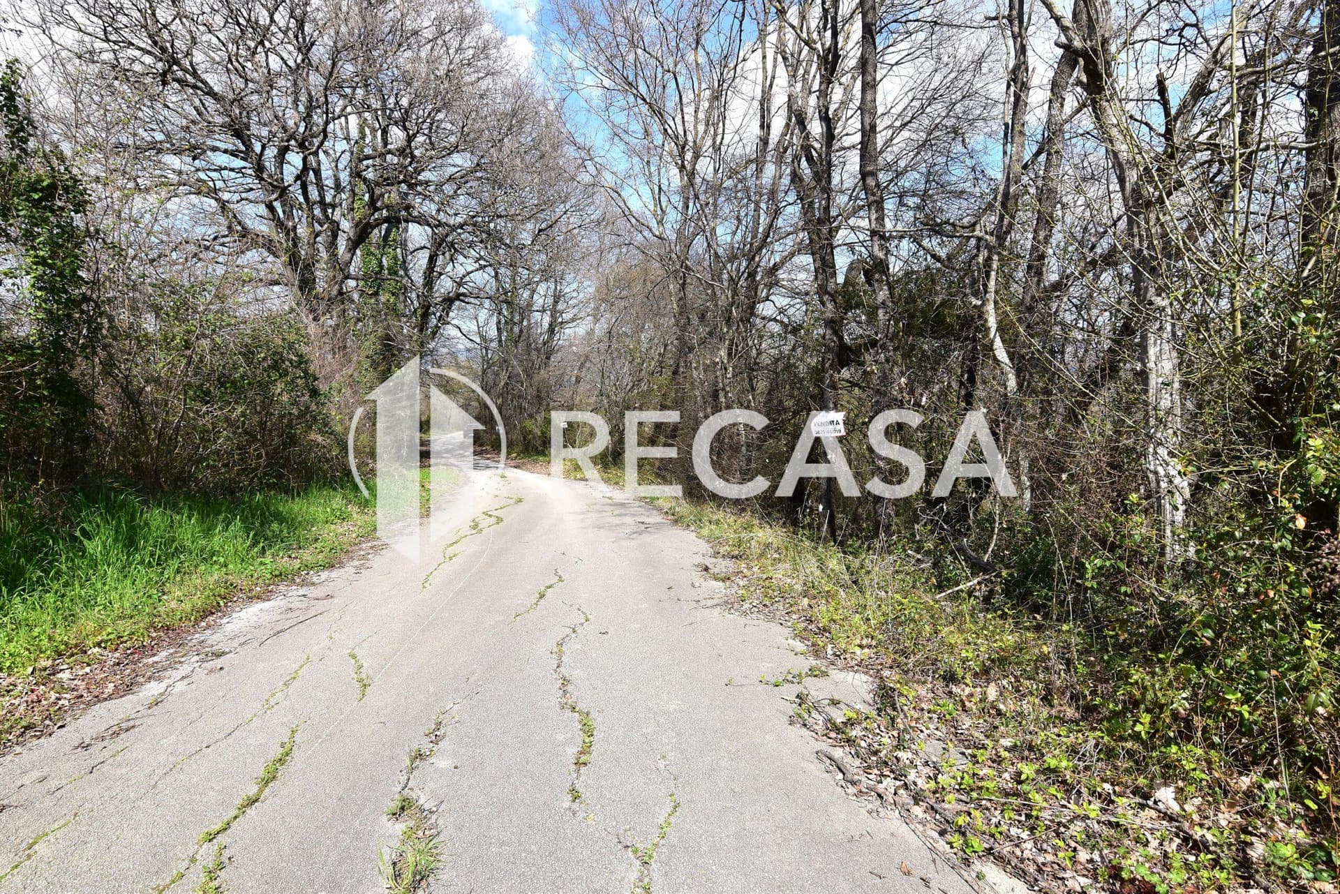 Vendita lotto agricolo San Barbato Manocalzati - Foto 9