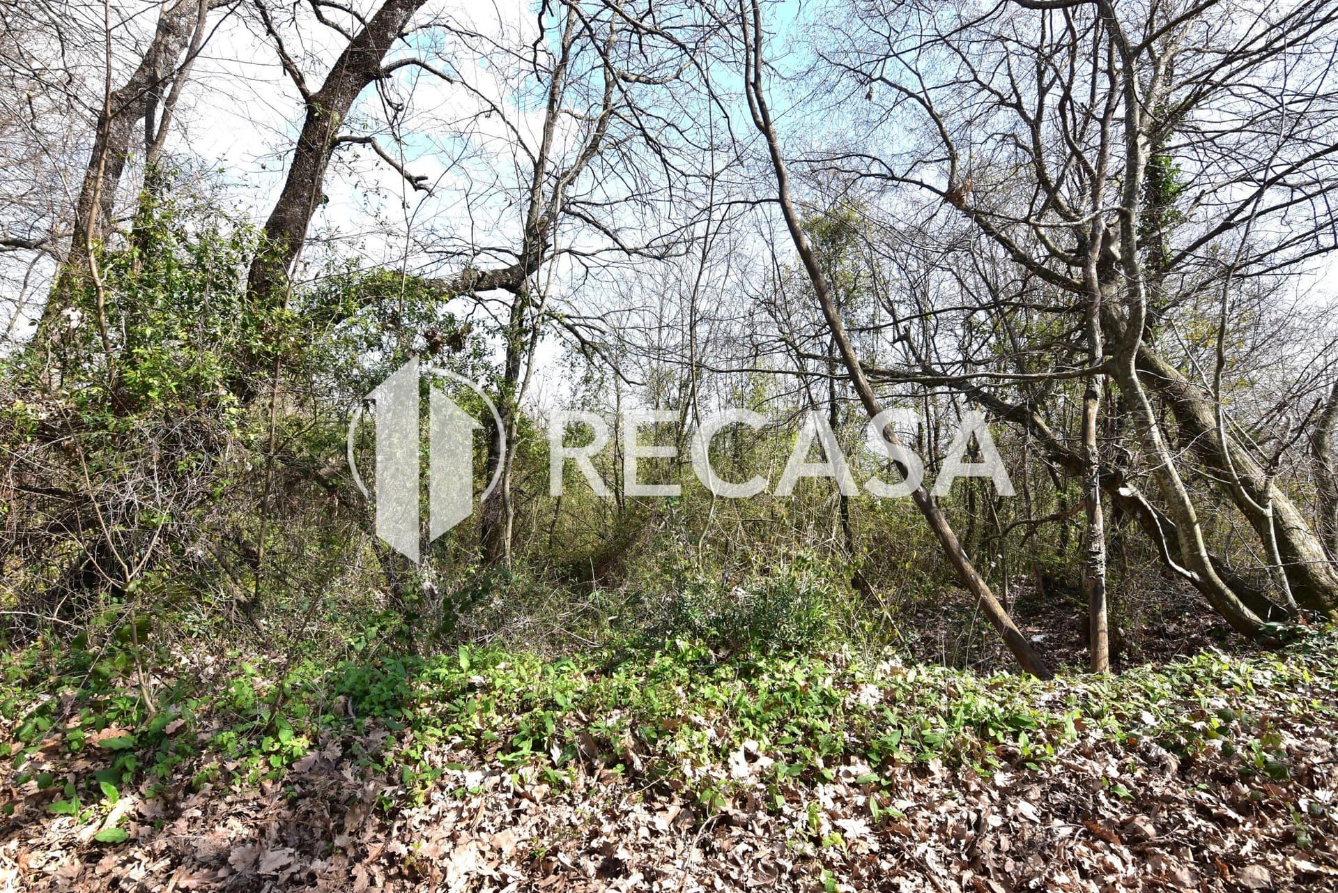 Vendita lotto agricolo San Barbato Manocalzati - Foto 12