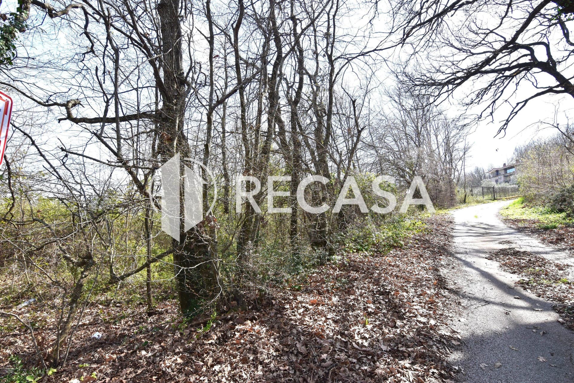 Vendita lotto agricolo San Barbato Manocalzati - Foto 15