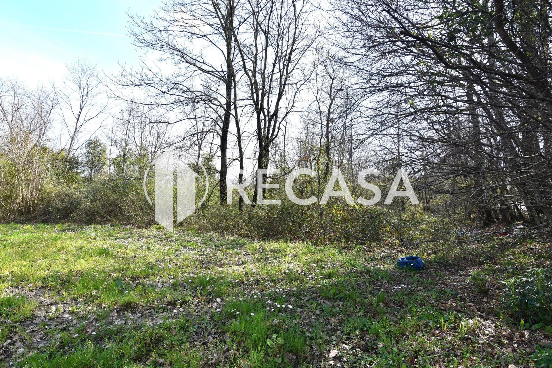 Vendita lotto agricolo San Barbato Manocalzati - Foto 16