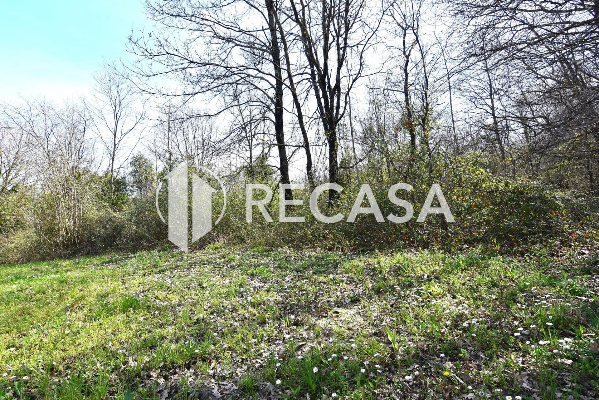 Vendita lotto agricolo San Barbato Manocalzati - Foto 18