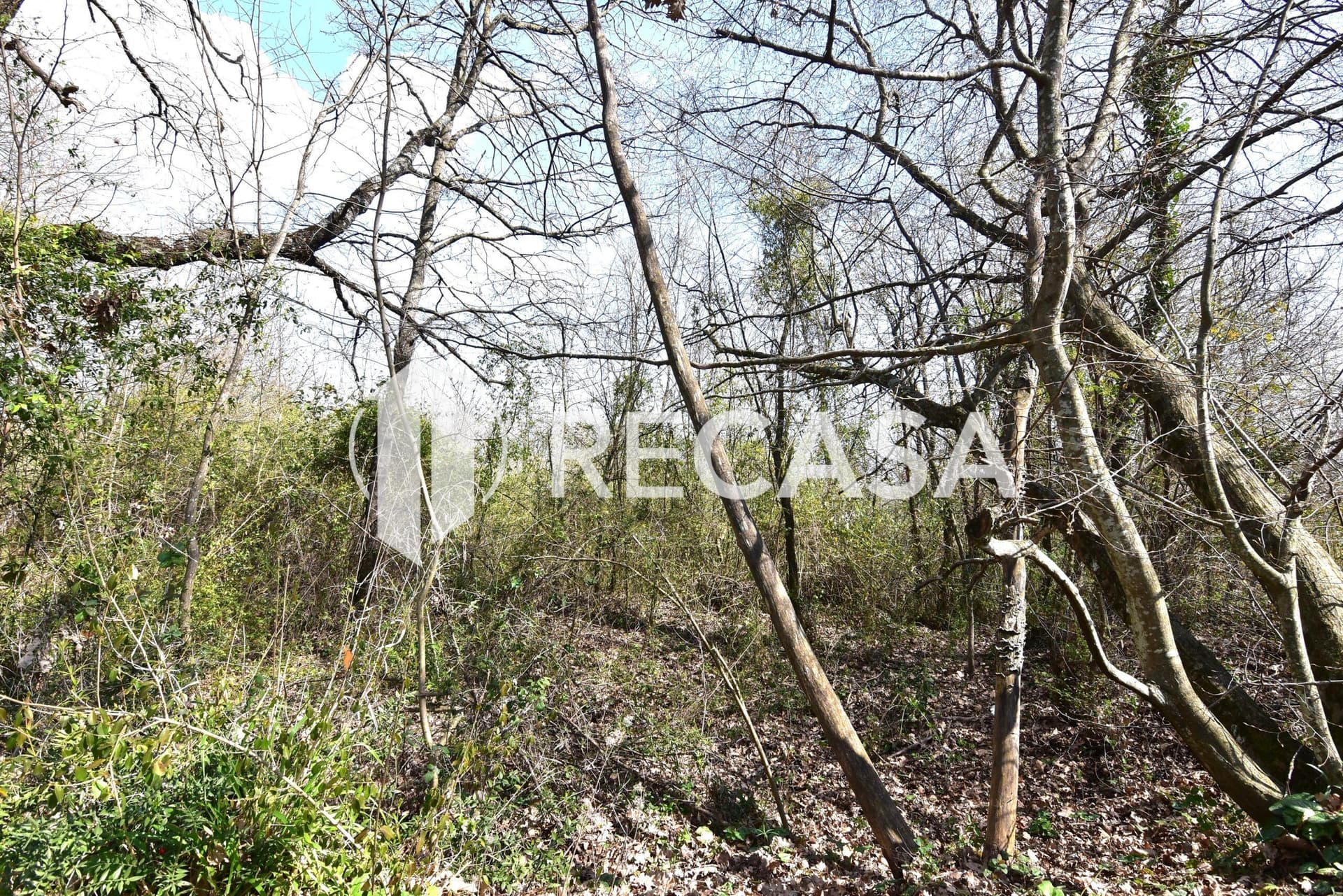 Vendita lotto agricolo San Barbato Manocalzati - Foto 20