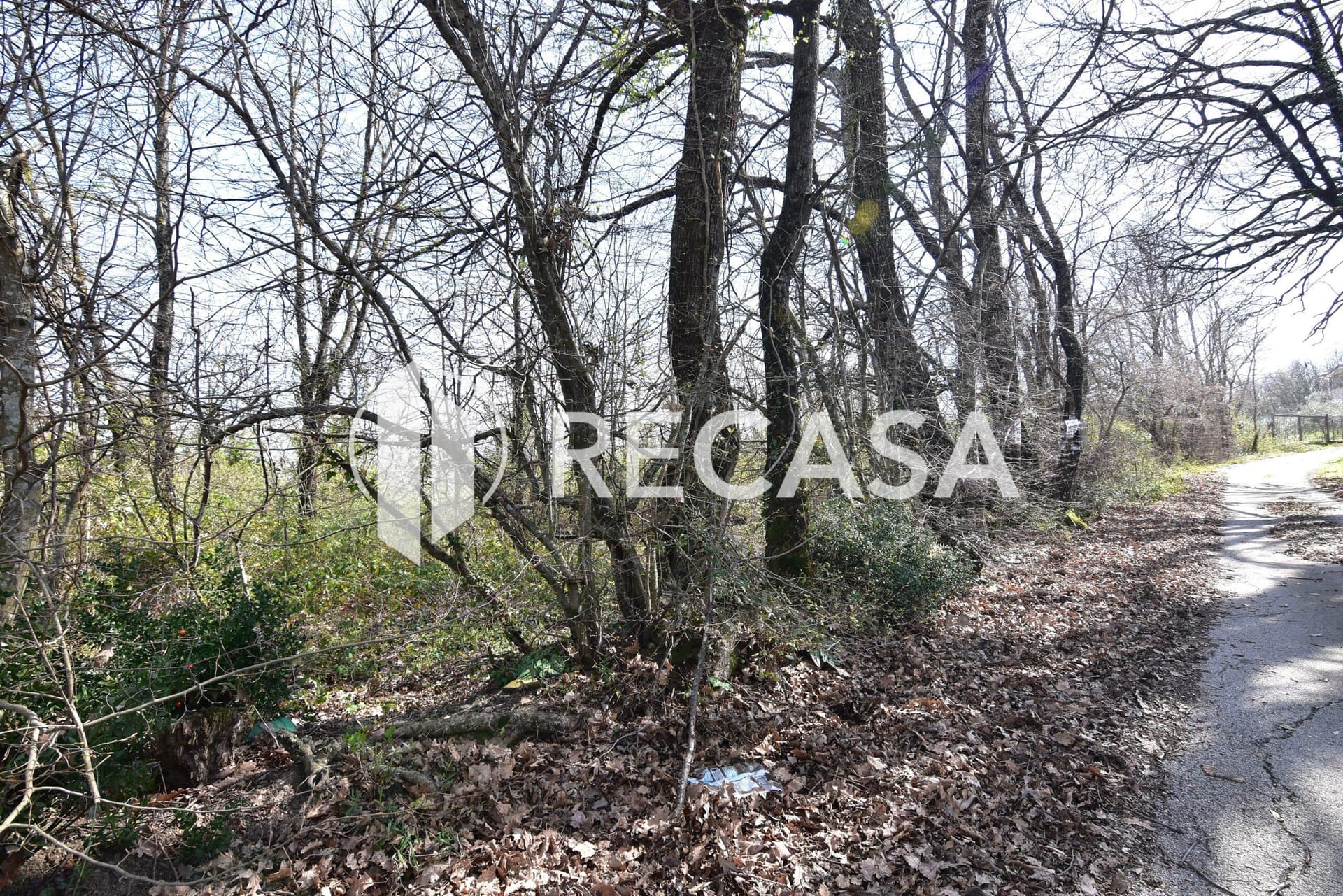 Vendita lotto agricolo San Barbato Manocalzati - Foto 23