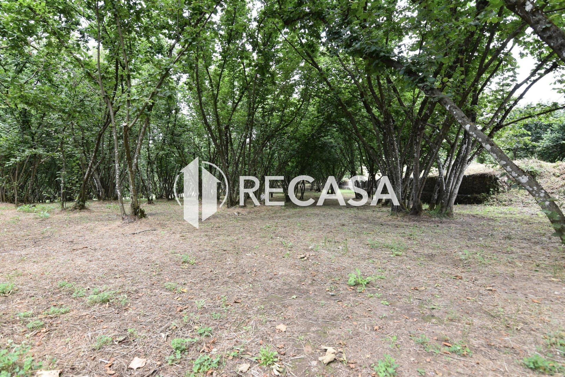 Vendita lotto di terreno edificabile Aiello del Sabato - Foto 4