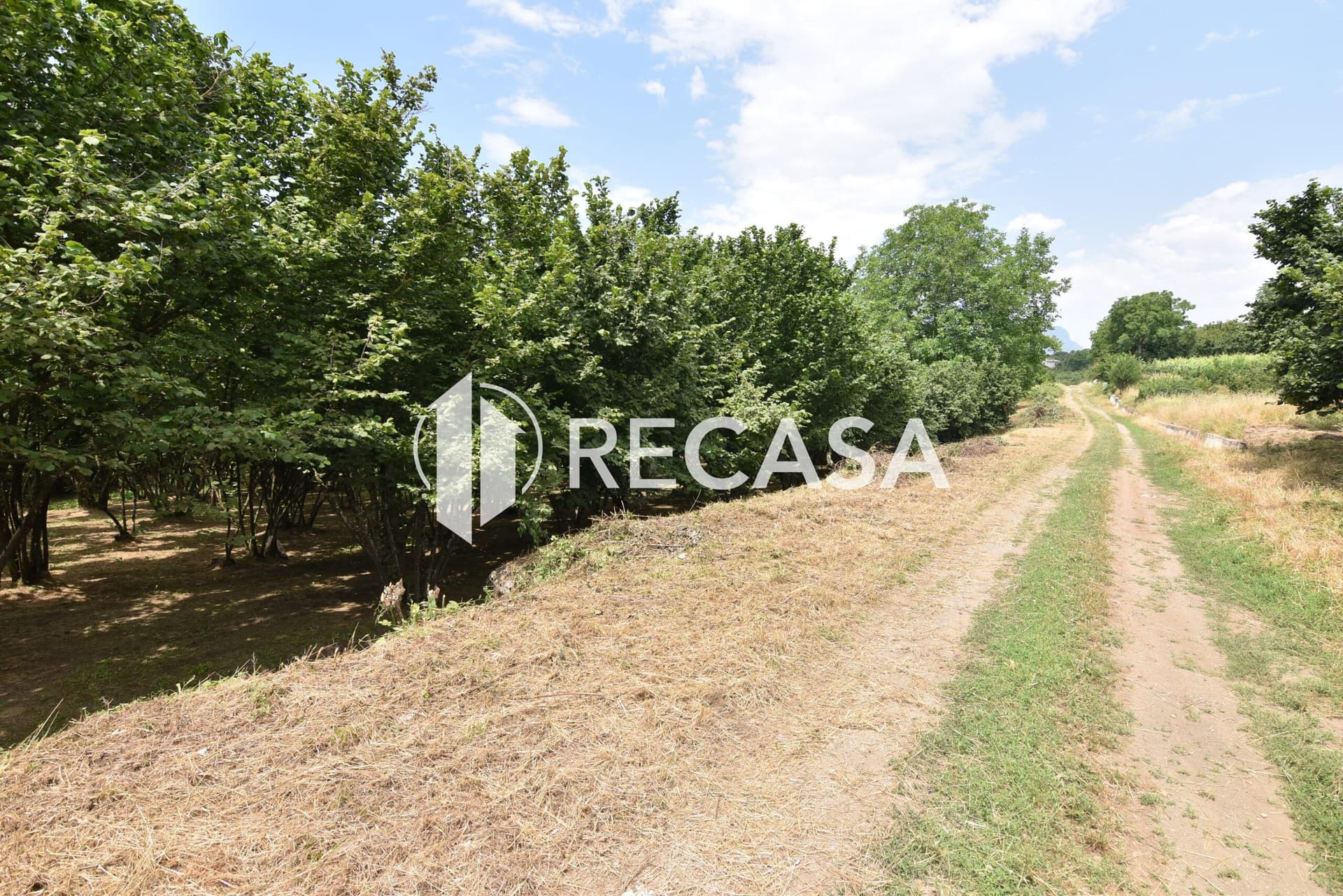 Vendita lotto di terreno edificabile Aiello del Sabato - Foto 8