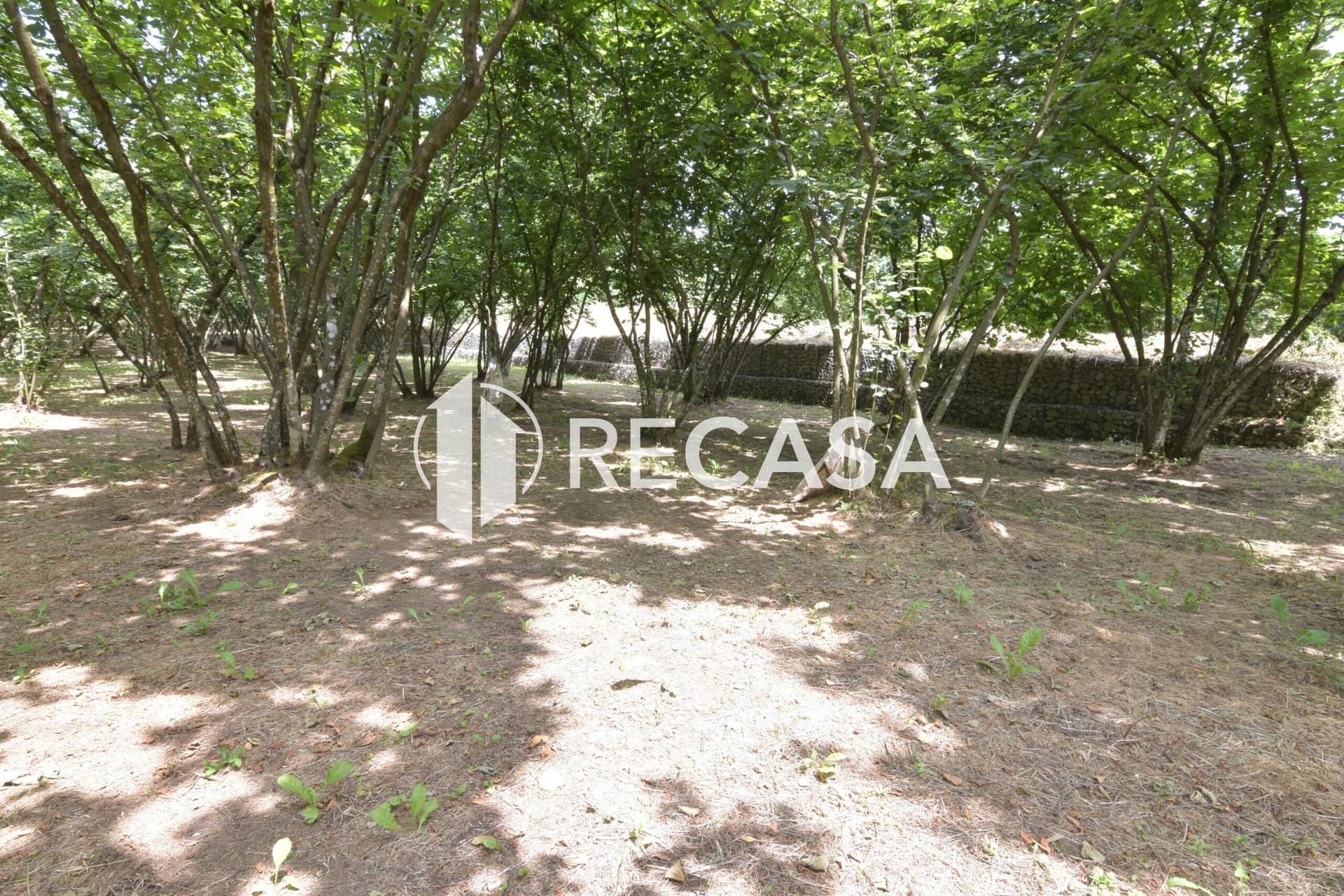 Vendita lotto di terreno edificabile Aiello del Sabato - Foto 13