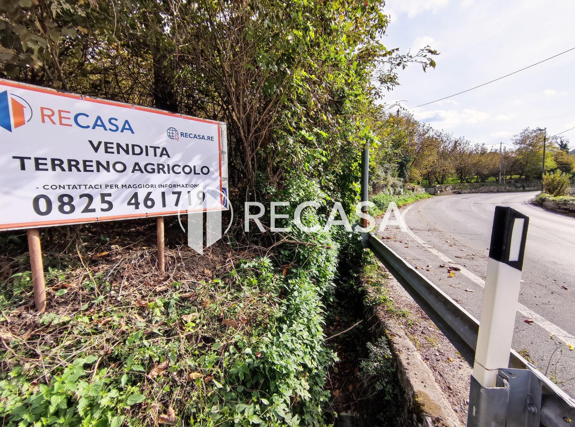 Vendita Noccioleto Atripalda - Foto 1