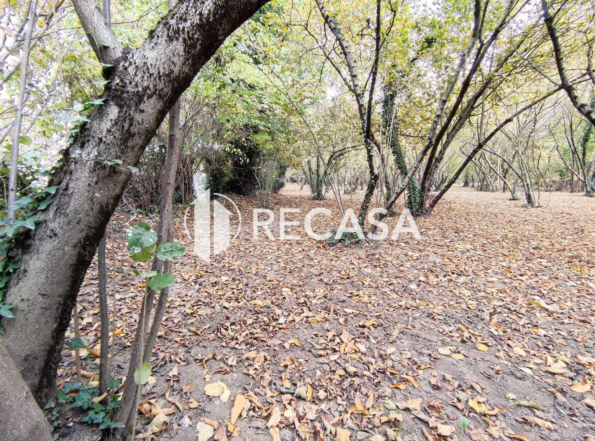 Vendita Noccioleto Atripalda - Foto 5