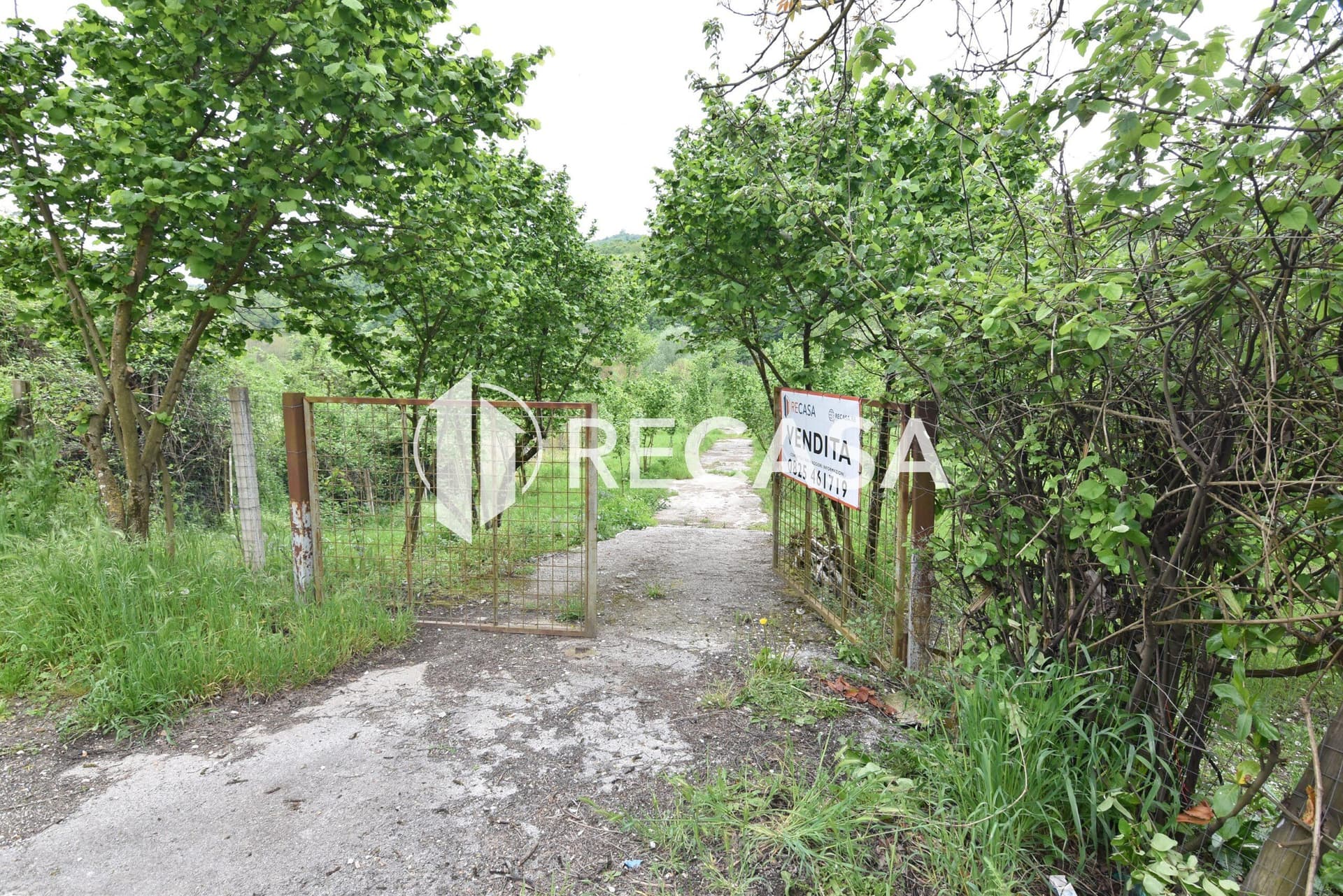 Vendita noccioleto con pozzo Tufo - Foto 1