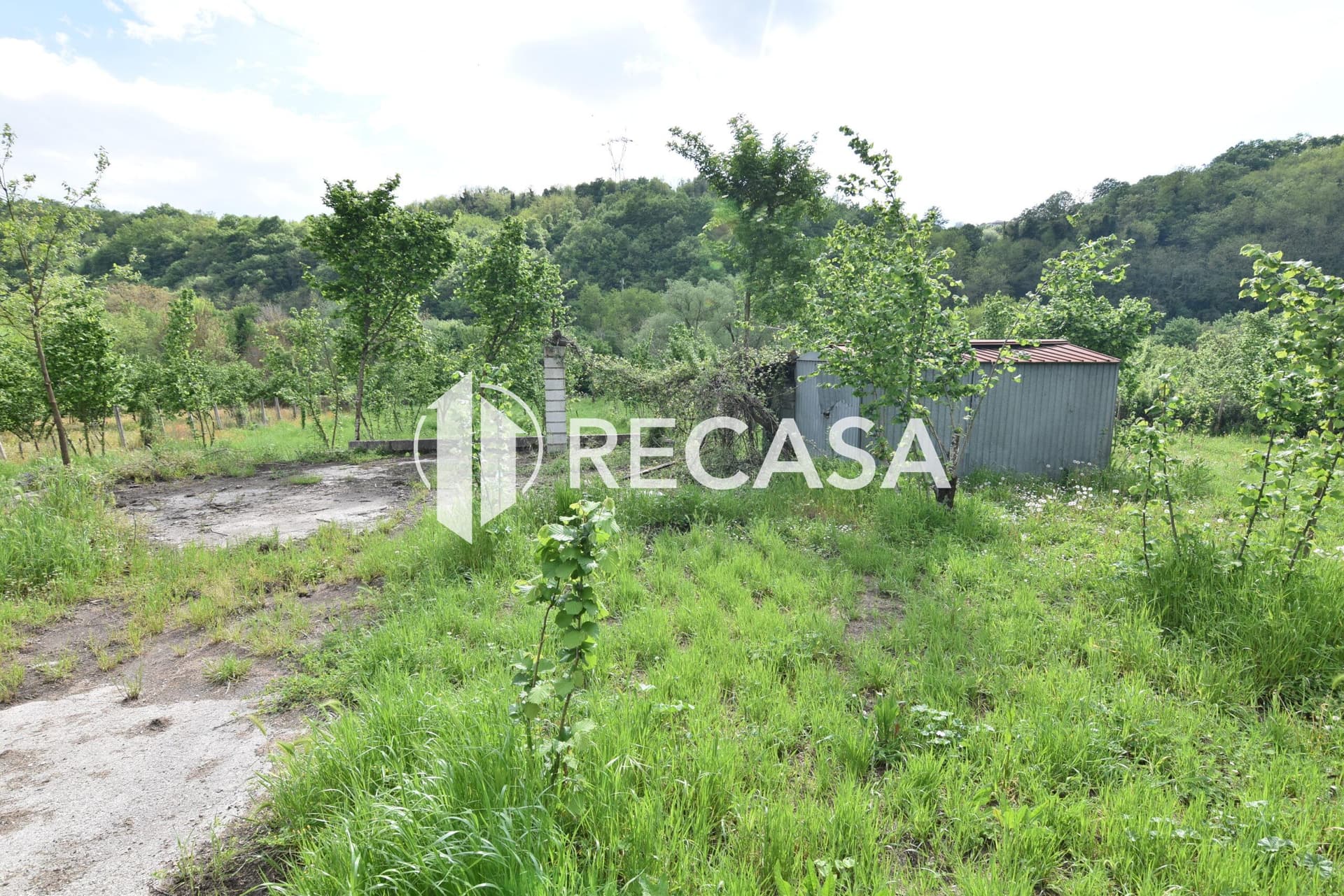 Vendita noccioleto con pozzo Tufo - Foto 4