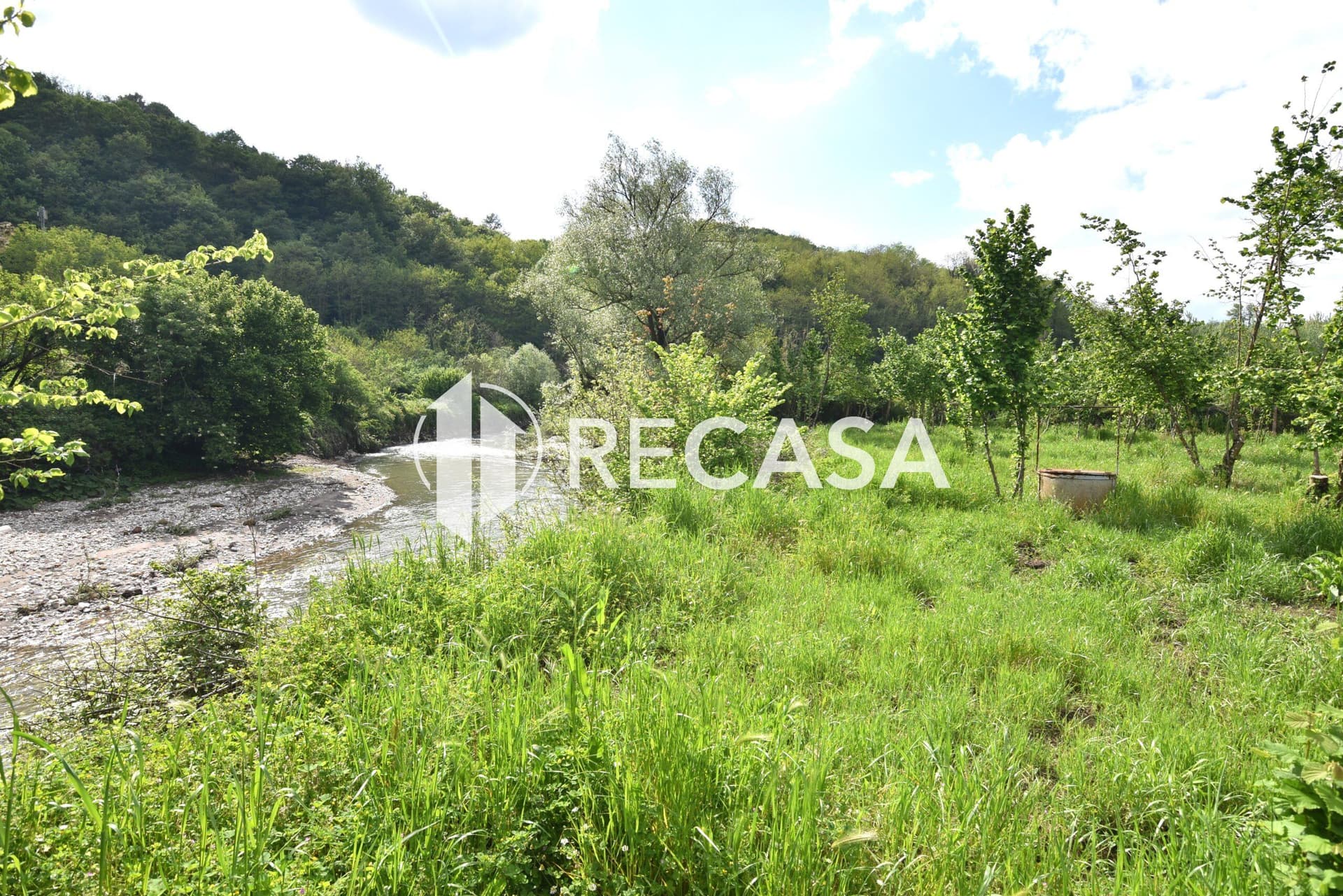 Vendita noccioleto con pozzo Tufo - Foto 7