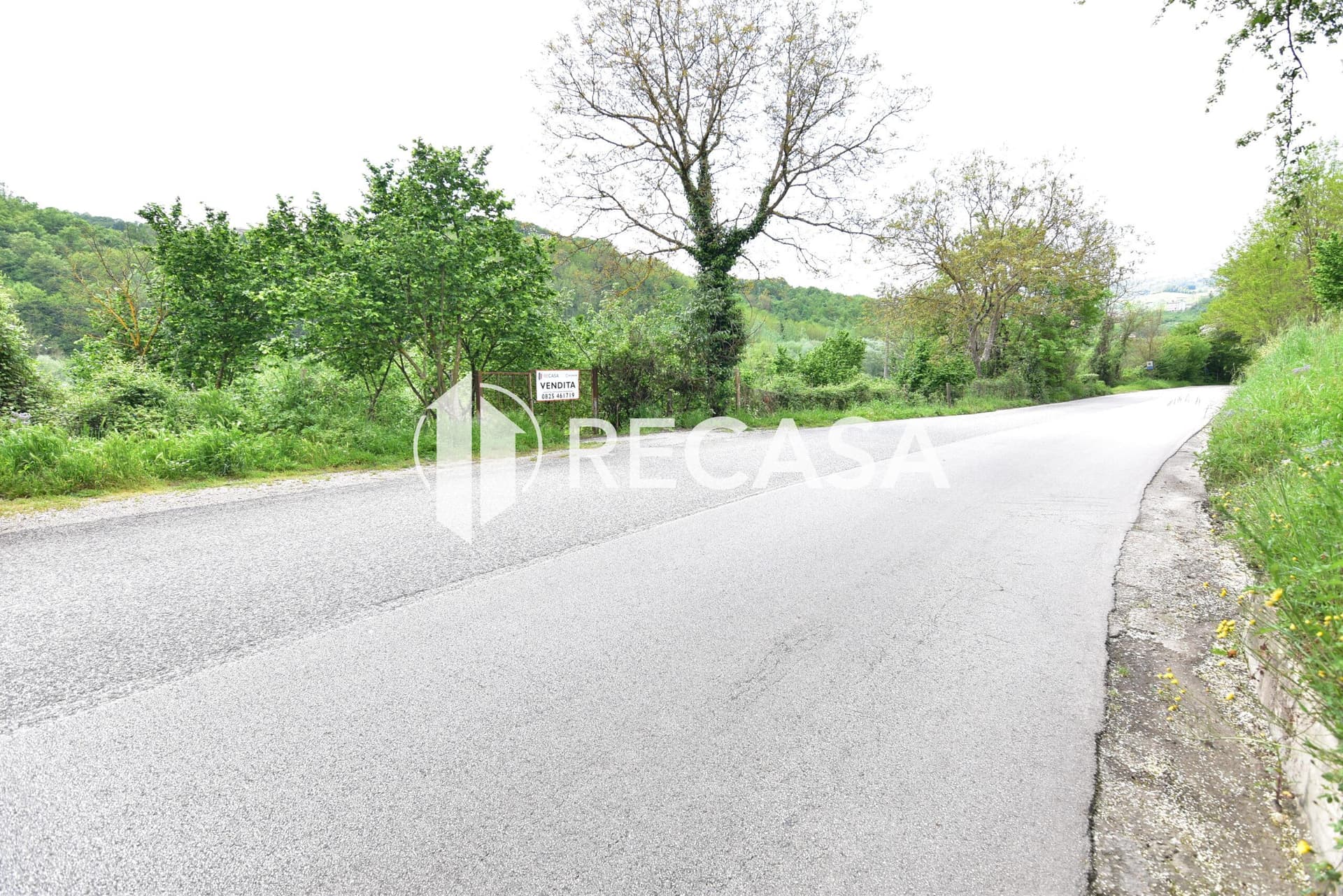 Vendita noccioleto con pozzo Tufo - Foto 10