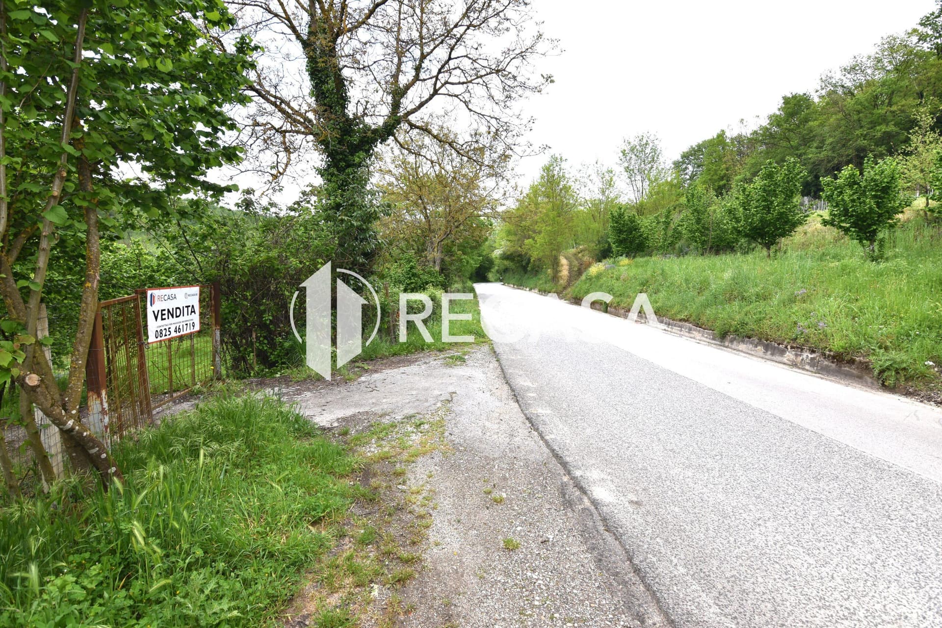 Vendita noccioleto con pozzo Tufo - Foto 13