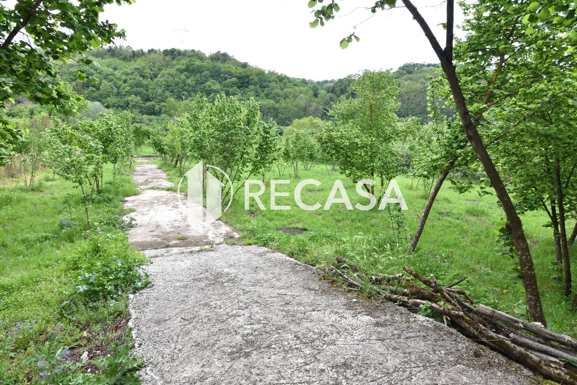 Vendita noccioleto con pozzo Tufo - Foto 14