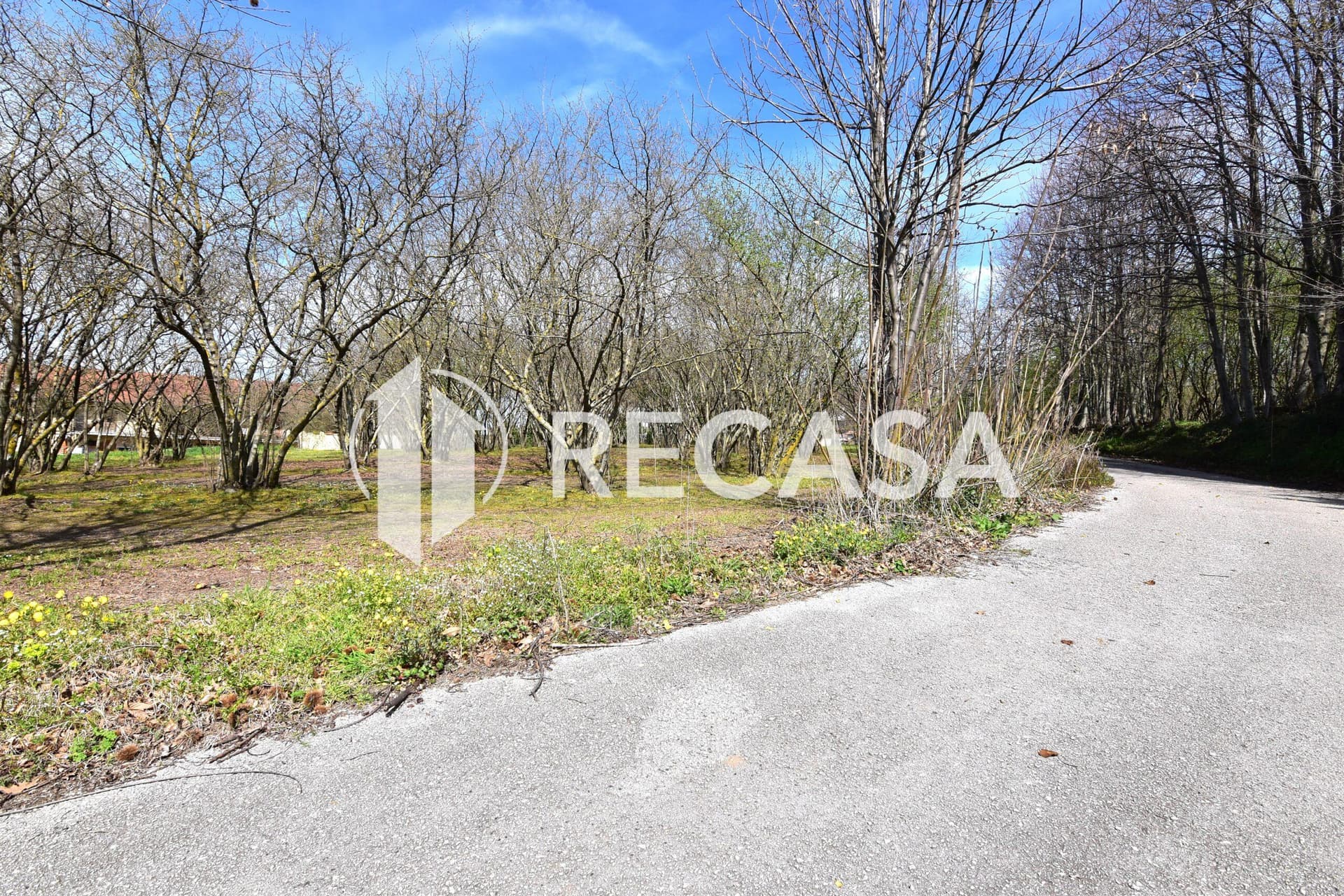 Vendita noccioleto pianeggiante Manocalzati - Foto 2