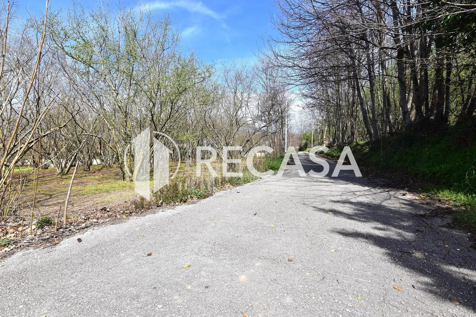 Vendita noccioleto pianeggiante Manocalzati - Foto 3