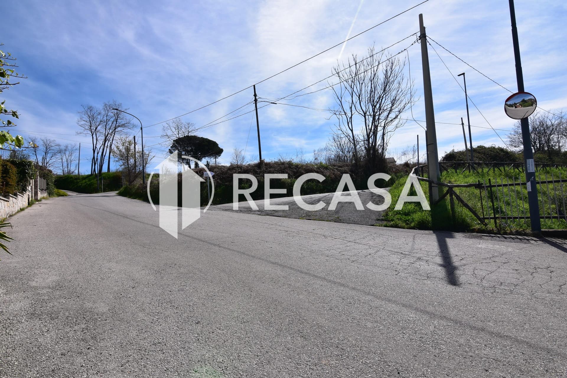 Vendita noccioleto pianeggiante Manocalzati - Foto 7