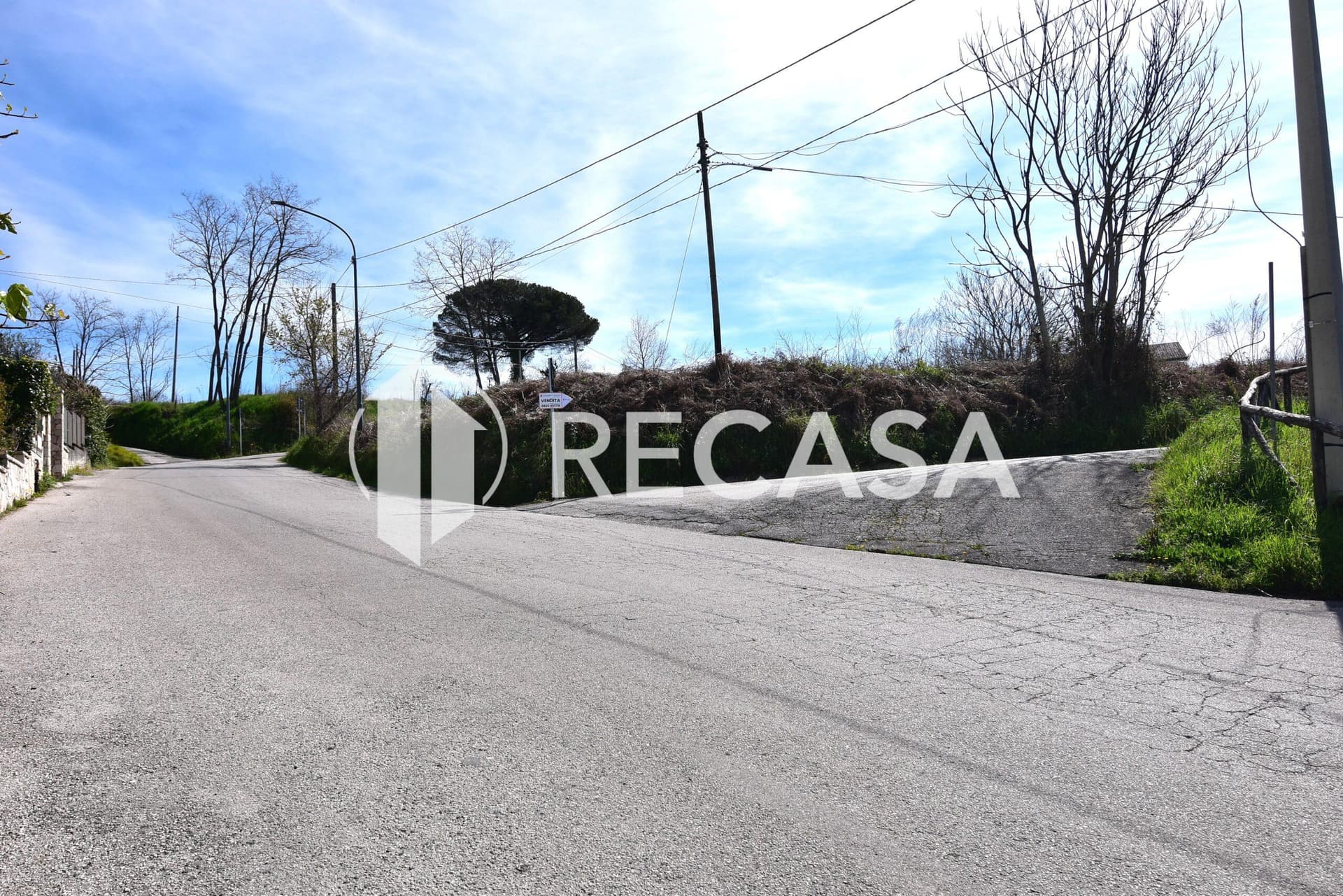 Vendita noccioleto pianeggiante Manocalzati - Foto 8