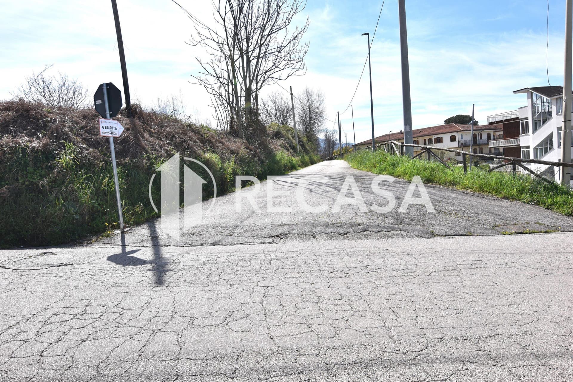 Vendita noccioleto pianeggiante Manocalzati - Foto 10