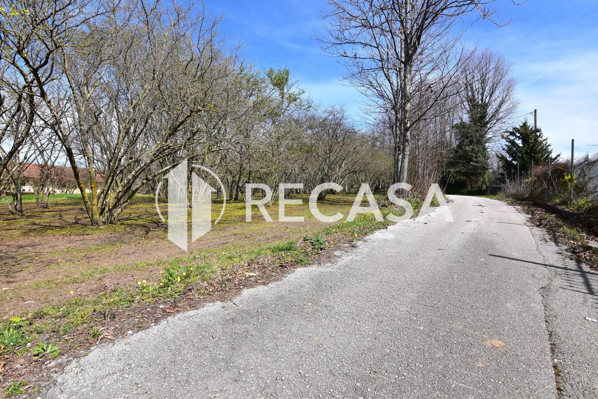 Vendita noccioleto pianeggiante Manocalzati - Foto 22