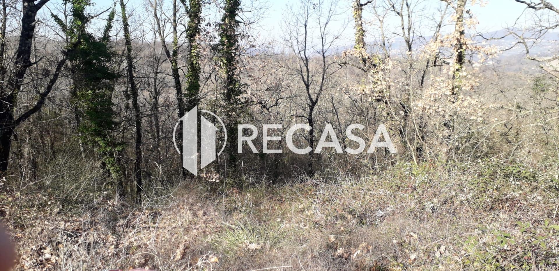 Vendita Terreno Agricolo Candida (Av) - Foto 3