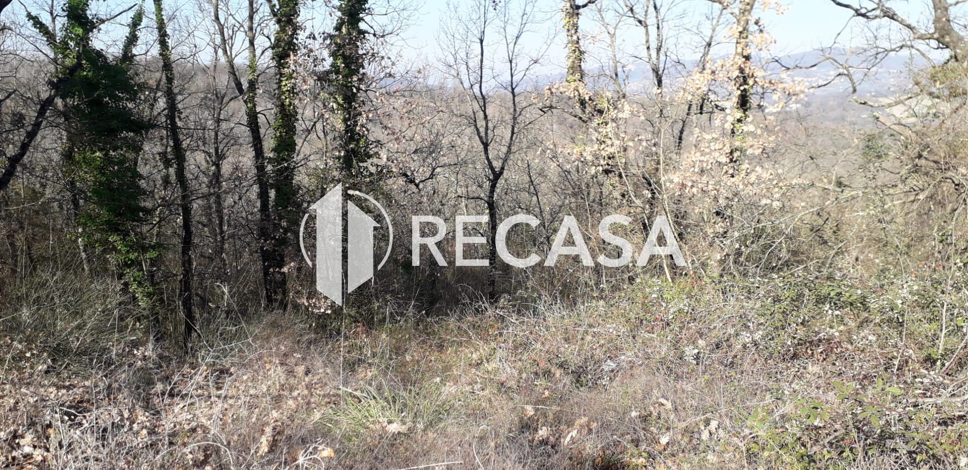 Vendita Terreno Agricolo Candida (Av) - Foto 4