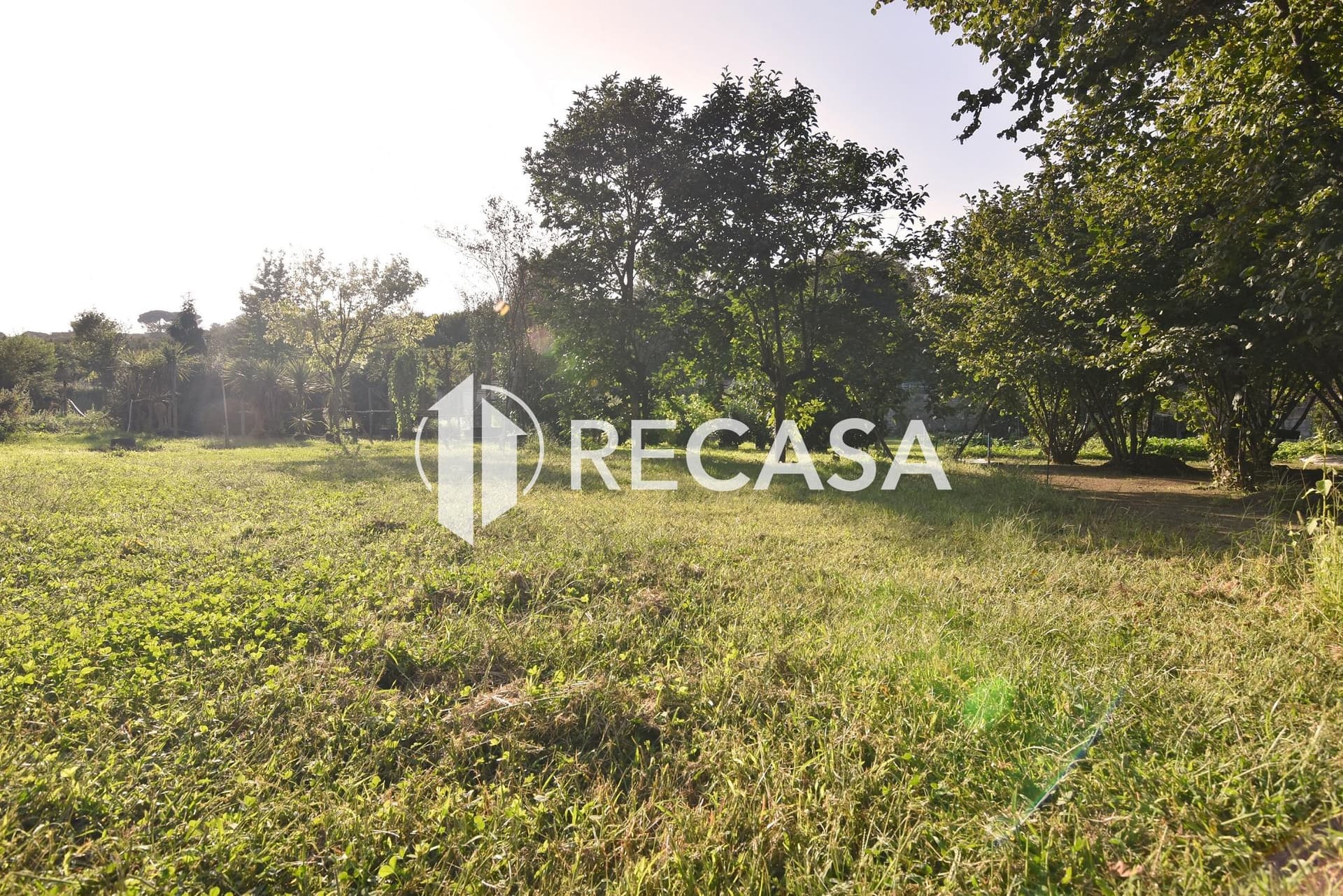 Vendita terreno agricolo con fabbricato interno Avellino - Foto 3