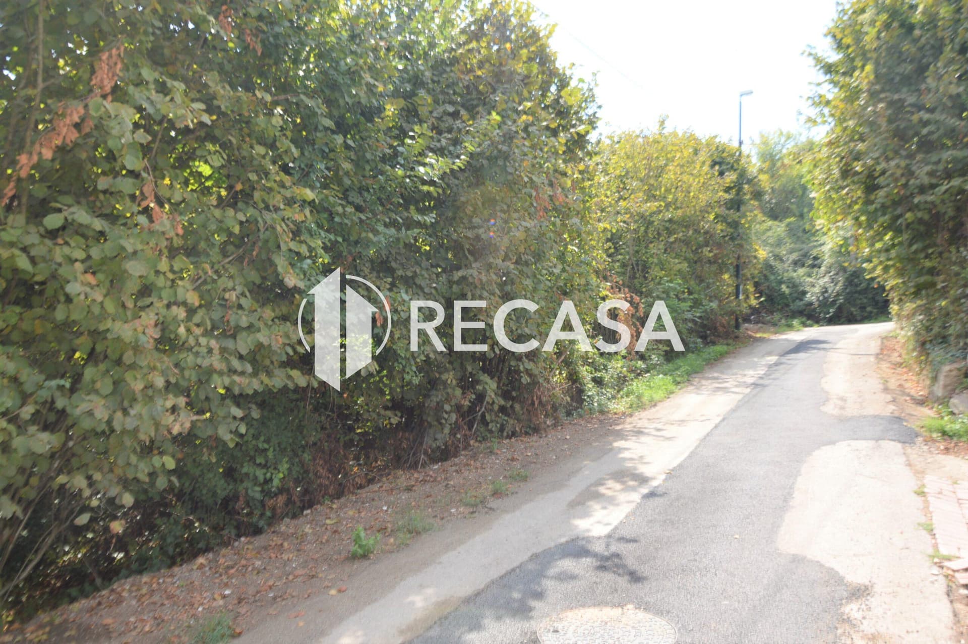 Vendita Terreno Agricolo Manocalzati - Foto 4