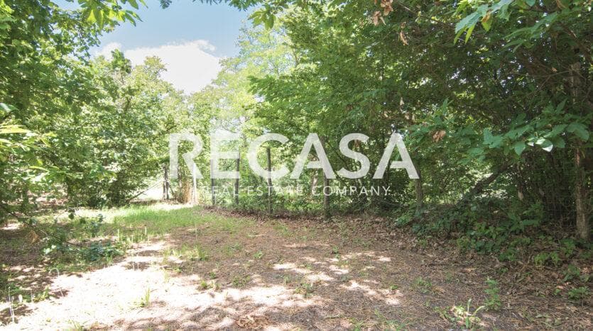 Vendita terreno agricolo San Potito Ultra - Foto 4