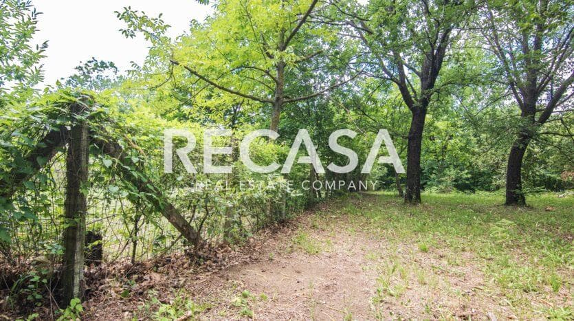 Vendita terreno agricolo San Potito Ultra - Foto 14