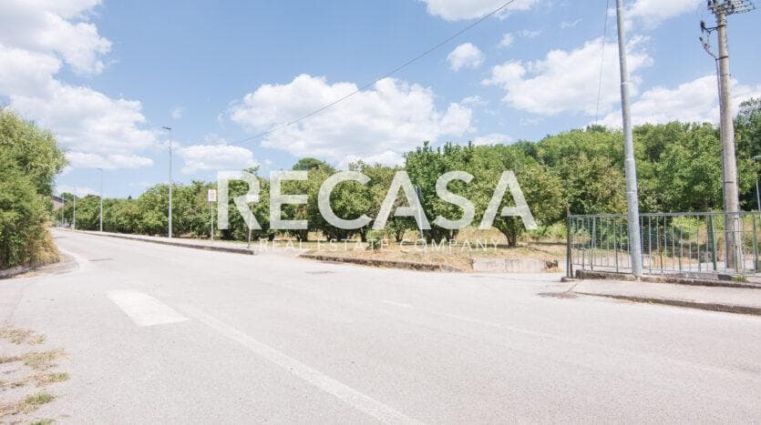 Vendita terreno agricolo San Potito Ultra - Foto 16