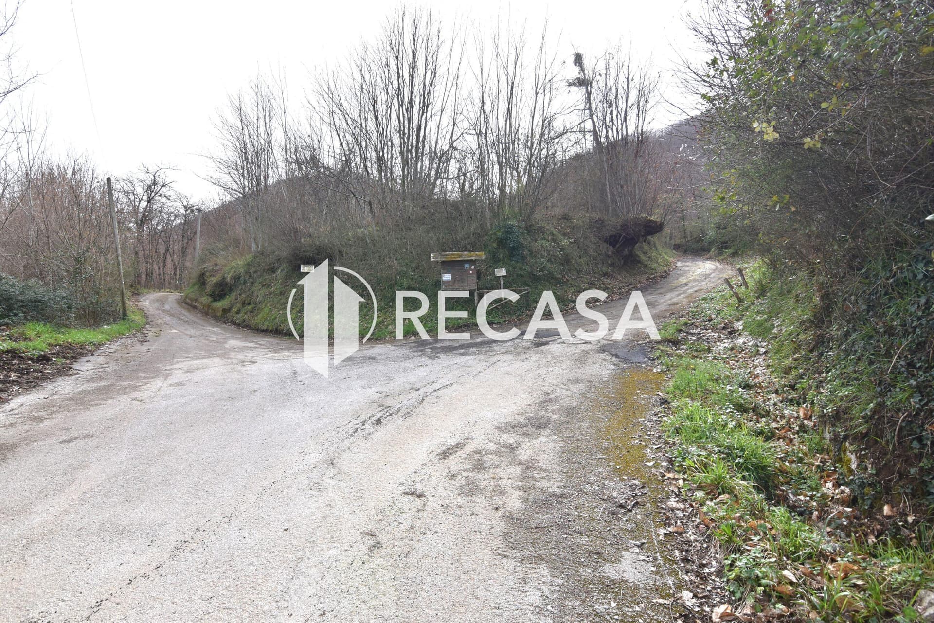 Vendita terreno pianeggiante Sorbo Serpico (Av) - Foto 3