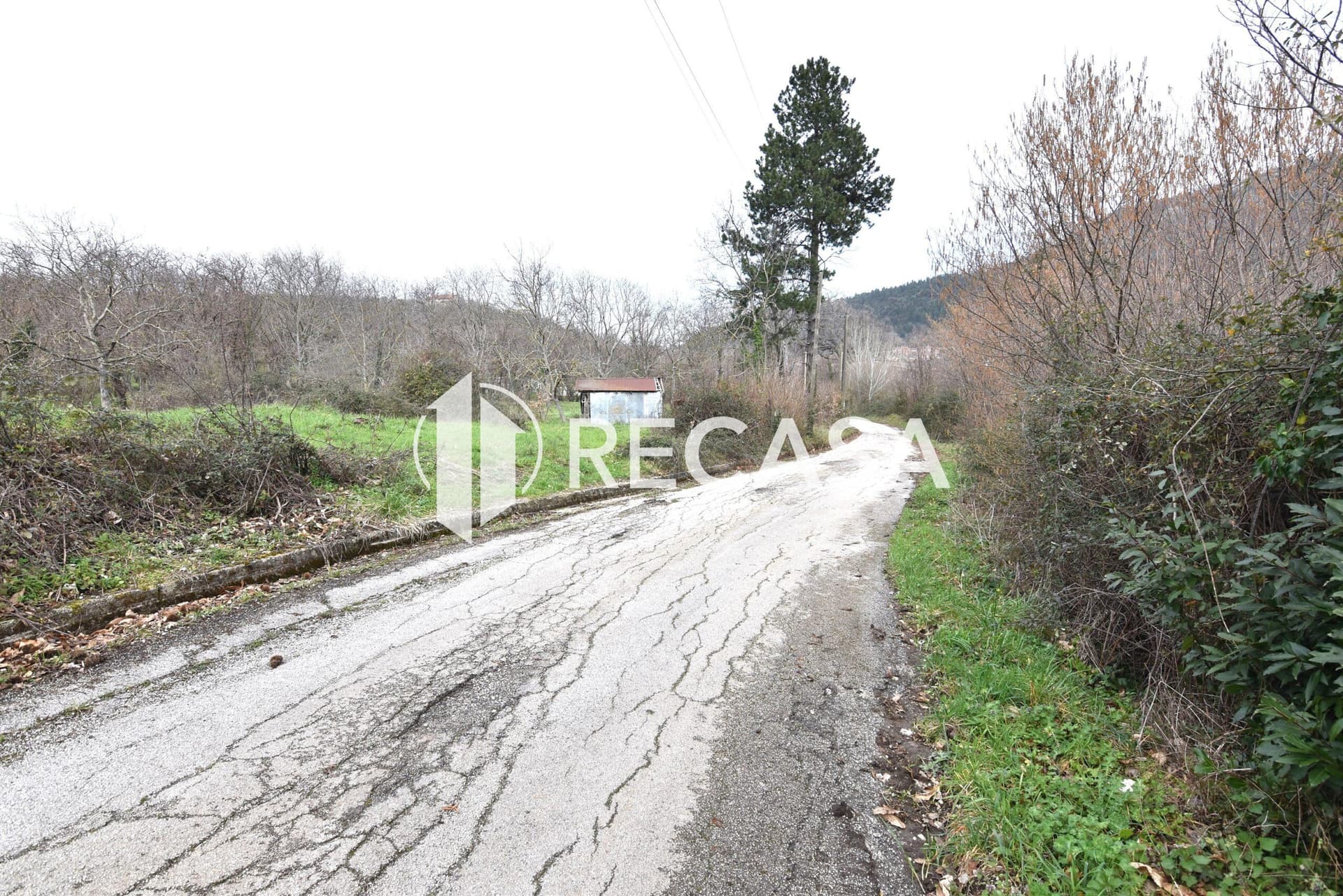 Vendita terreno pianeggiante Sorbo Serpico (Av) - Foto 6