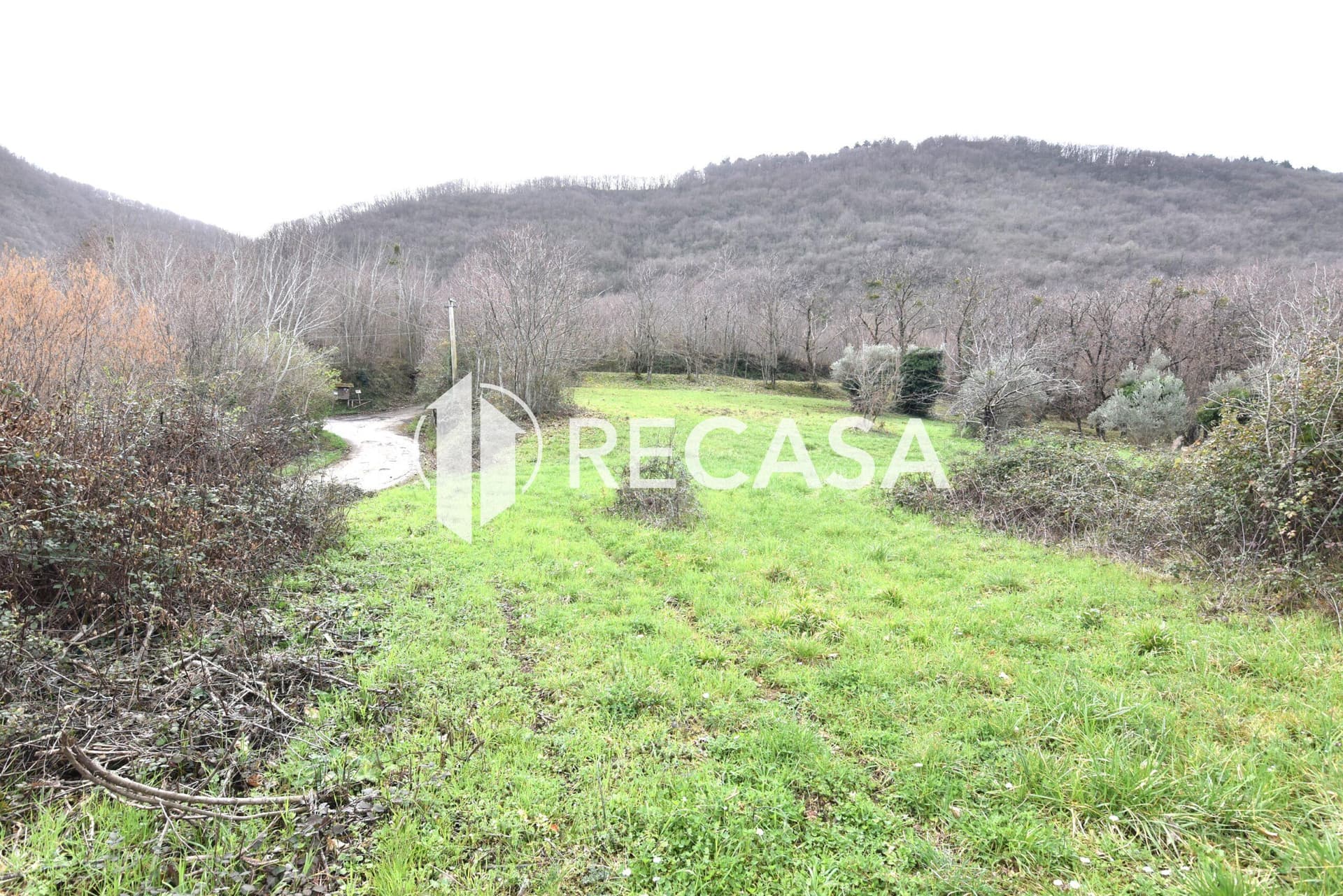 Vendita terreno pianeggiante Sorbo Serpico (Av) - Foto 9