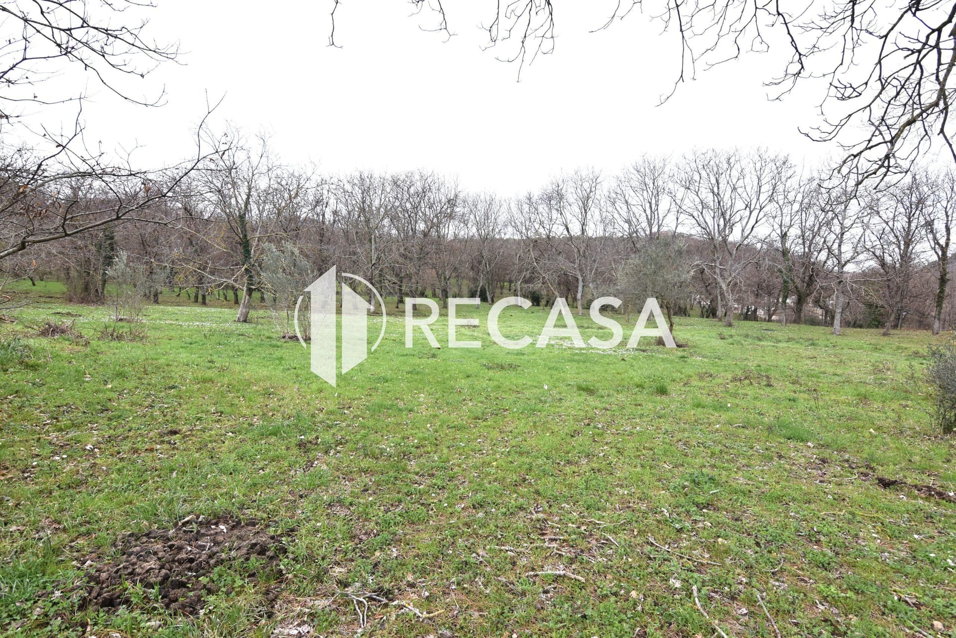 Vendita terreno pianeggiante Sorbo Serpico (Av) - Foto 10