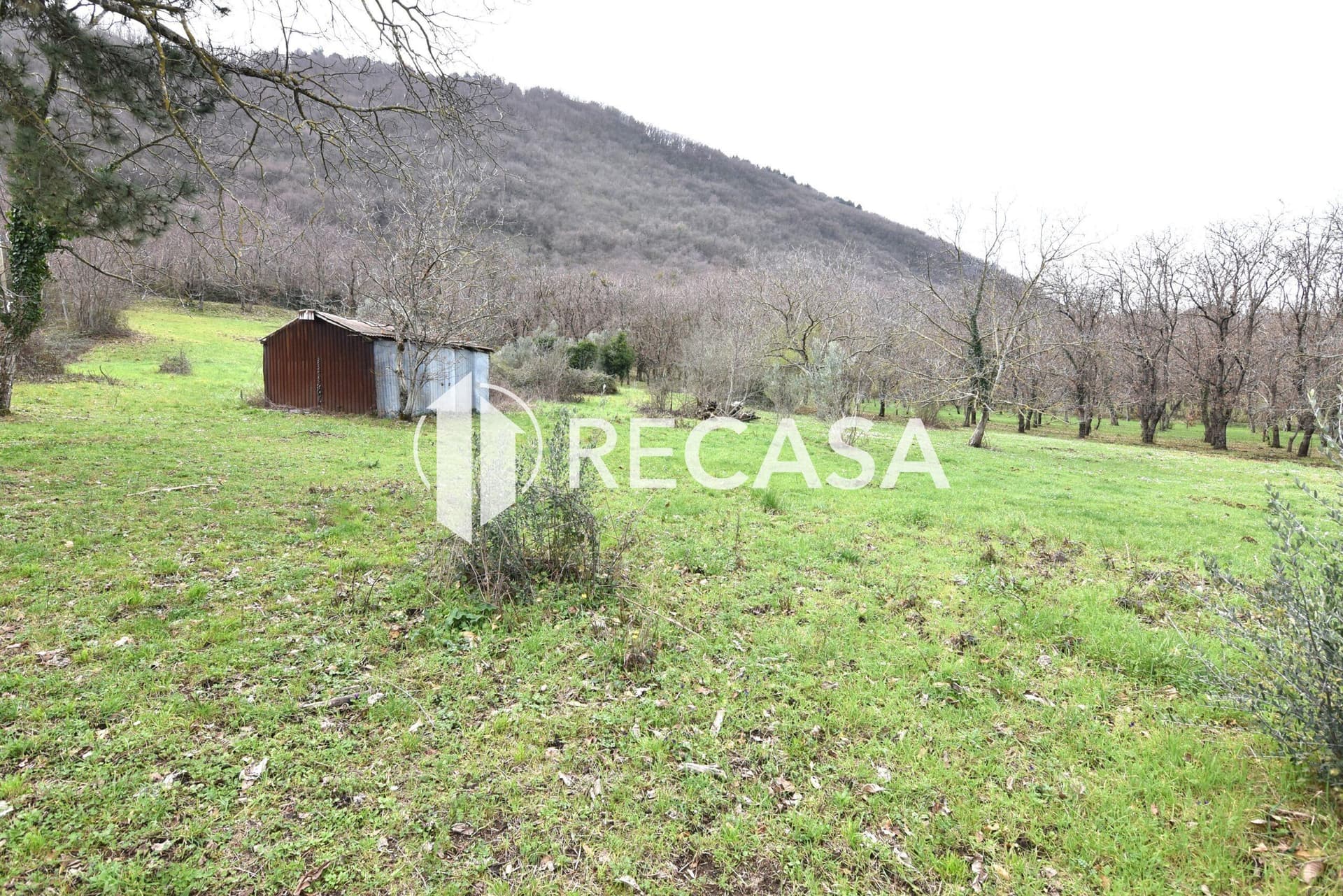 Vendita terreno pianeggiante Sorbo Serpico (Av) - Foto 14