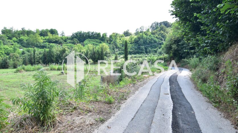 Vendita terreno agricolo